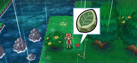 route 119 leaf stone.